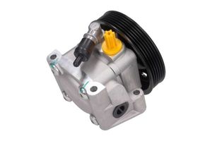 Servo pomp 480113