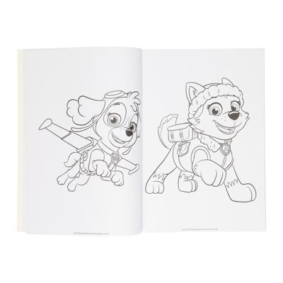 Wins Holland Kleurboek paw patrol, 128blz.