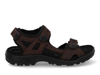 Ecco Offroad yucatan 06956458290 moch Bruin maat 43