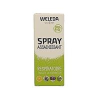 Zuiverende roomspray fresh 50 Milliliter