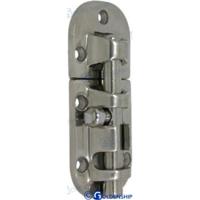 GS72405 - AISI304 89X39 PIN-SLUITING