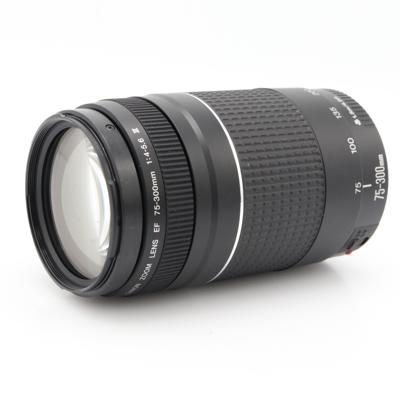 Canon EF 75-300mm F/4-5.6 III occasion