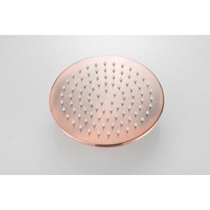 Hoofddouche SaniClear Vision | 20 cm | Rond | Geborsteld koper