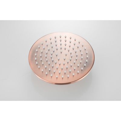 Hoofddouche SaniClear Vision | 20 cm | Rond | Geborsteld koper