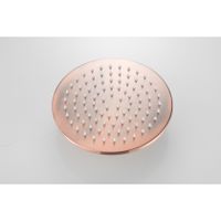 Hoofddouche SaniClear Vision | 20 cm | Rond | Geborsteld koper