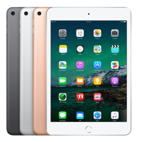 Refurbished iPad Mini 5 256 GB 4G Goud Gebruikt