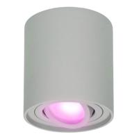 Ray smart Opbouwspot - Plafondspot - Kantelbaar - Rond GU10 - RGBWW - Wifi + Bluetooth - Google Home, Amazon Alexa en Siri - Grijs - Bestuurbaar via App en Stem