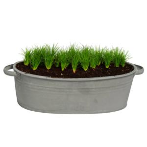 Mega Collections teil/plantenpot Farmer - ovaal - zink - donkergrijs - L25 x D18 X H11 cm   -