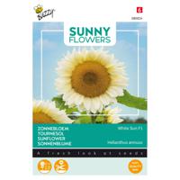 Buzzy - Sunny Flowers, Zonnebloem White Sun of Day - thumbnail
