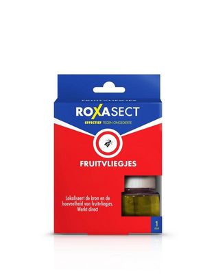 Fruitvliegjes