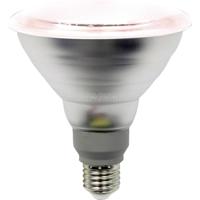 LightMe LED-plantenlamp LM85322 138 mm 230 V E27 12 W Reflector 1 stuk(s)