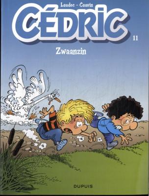 Zwaanzin (Paperback)