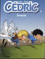 Zwaanzin (Paperback)