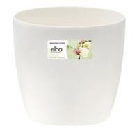 Brussels orchidee 12,5cm transparant - Elho
