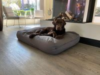Dog's Companion® Hondenkussen muisgrijs large