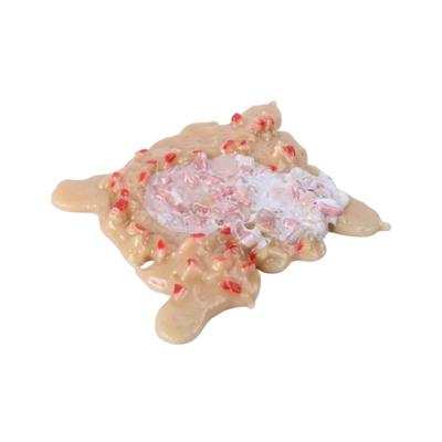 Nep braaksel - fopartikel - 10x8 cm - kots - smerig - Halloween