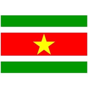 Klein formaat supporters landen vlag Suriname - Multipak van 2x stuks - 60 x 90 cm - Landen feestart