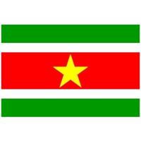 Klein formaat supporters landen vlag Suriname - Multipak van 2x stuks - 60 x 90 cm - Landen feestart Klein formaat supporters landen vlag Suriname - Multipak van 2x stuks - 60 x 90 cm - Landen feestart