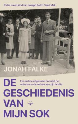 De geschiedenis van mijn sok (Paperback)