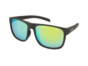 Zonnebrillen Alpina Nacan III Coffee Grey Matt
