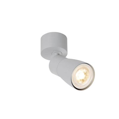 SLV OpbouwspotPuri 2.0 Dome grijs enkel - 1008295