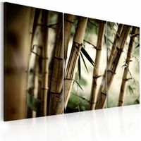 Schilderij - In het Tropisch Regenwoud, Groen/Bruin, 3luik, premium print