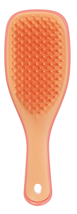 Tangle Teezer Detagling Mini Haarborstel