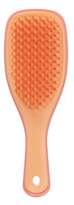 Tangle Teezer Detagling Mini Haarborstel