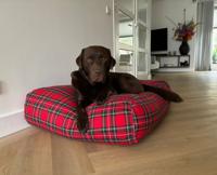 Dog's Companion® Hondenbed royal stewart extra small