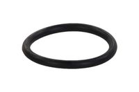 Aquaforte O-ring voor PF-40 & Meerkamerfilter 18000-25000 - Duurzaam & Precies