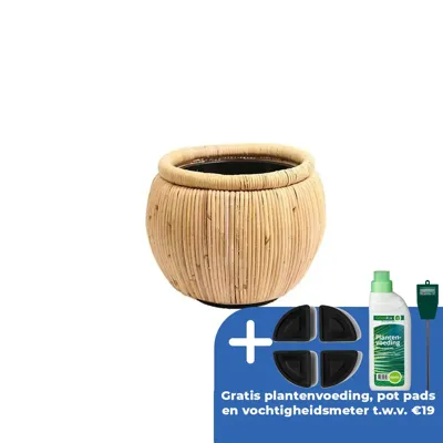 Drypot rotan d68h52cm grijs Drypot rotan d68h52cm grijs