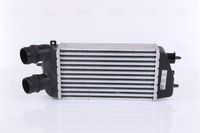 Intercooler 96495