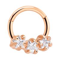 Hinged Segment Ring Met roségoud verguld chirurgisch staal Piercingringen