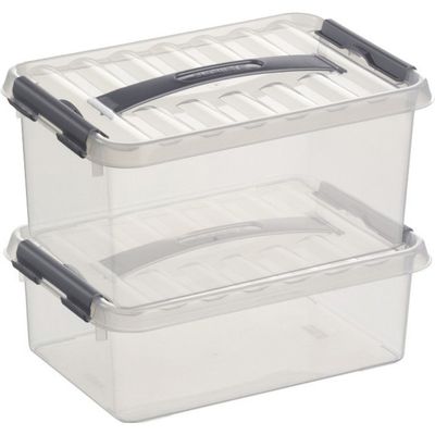 2x Opberg boxen/opbergdozen set 4 en 6 liter 30 cm kunststof
