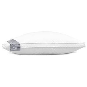 Heckett & Lane Box Hoofdkussen Platinum Anti Allergie