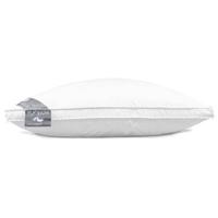 Heckett & Lane Box Hoofdkussen Platinum Anti Allergie