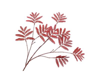 Mimosasteel l104 cm rood - Silkka