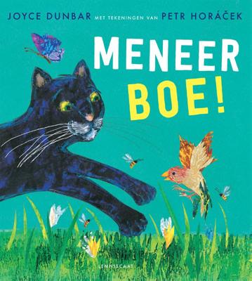 Meneer boe! (Hardback)