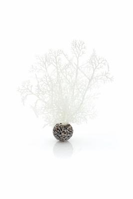 Hoornkoraal klein wit - Biorb