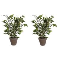 Mica Decorations Kunstplant Ficus - 2x - 40 cm - groene kamerplant