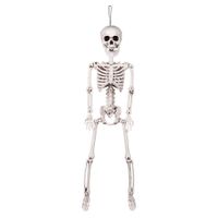Hangende horror decoratie skelet 60 cm   -