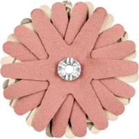 PFERD TOOLS 42732109 Schuursterren Diameter 70 mm 10 stuk(s)