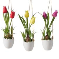 Boltze Home Boltze hang potplant tulp h23cm