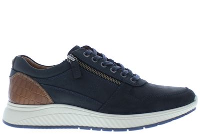 Australian Hurricane blue tan donkerblauw Australian Hurricane blue tan donkerblauw