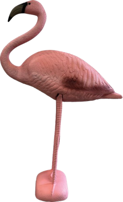 Superfish Flamingo