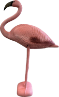Superfish Flamingo