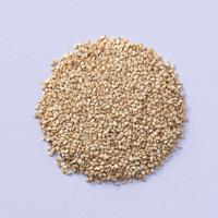 Sesamzaad ongepeld geroosterd (bio) 300 gram