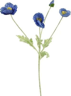 Cosmeasteel l61b10h10 cm d.blauw - Countryfield