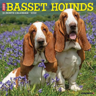 Basset Hound Kalender 2026