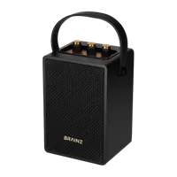 Brainz Retro Speaker